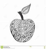 Coloring Apple Zentangle Book Vector Doodle Illustration Monochrome Fruit Style Outline Dreamstime Drawn Hand sketch template
