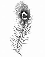 Feather Peacock Drawing Easy Simple Tattoo Line Pencil Feathers Small Sketch Tattoos Designs Step Drawings Crying Eyes Getdrawings Heart Beautiful sketch template