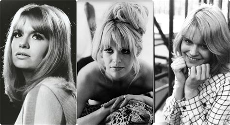 35 Fabulous Photos Of Carol White In The 1960s And 70s Vintage News