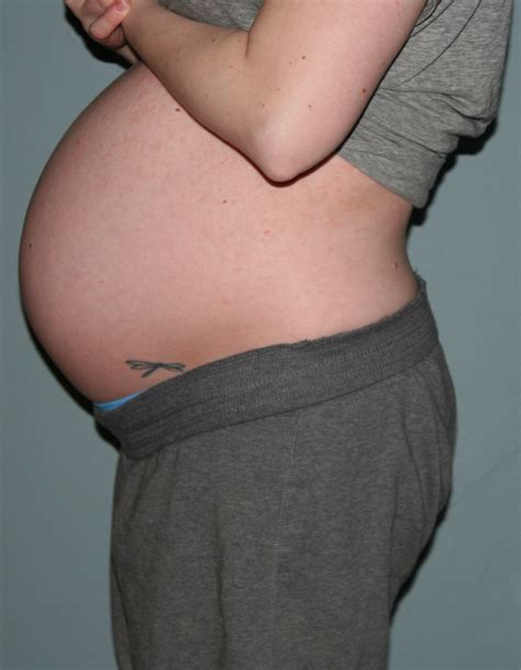 20 week twin belly