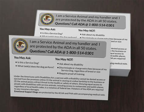 service dogada info cards usa service dogs