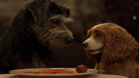 Lady And The Tramp Trailer Tessa Thompson Justin Theroux Bring New