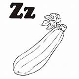 Coloring Zucchini Pages Surfnetkids Vegetable sketch template