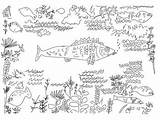Klee Goldfish Coloring Pages Plowing Fall Matisse Head Man Paul Teacherspayteachers Followers Choose Board sketch template