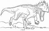 Jurassic Colorir Dinossauro Ausmalbilder Rex Indominus Dinossauros Neu Spinosaurus Comofazeremcasa sketch template