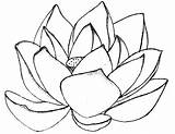Lotus Coloring Flower Pages Color Printable Drawing Power Getdrawings Getcolorings Clipart Amazing Print Kids sketch template
