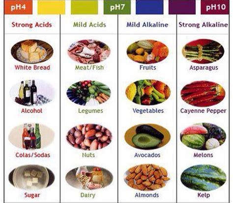 Acidic And Alkaline Foods Raw Food Diet Alkaline Foods Chart Ph