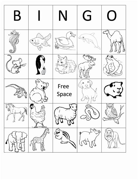 animal coloring pages  st grade coloring pics