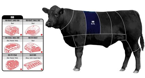 the ultimate guide to beef cuts business insider