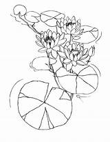 Pad Among Lilies sketch template