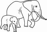 Malvorlagen Elefant Elefanten Malvorlage Kostenlose sketch template