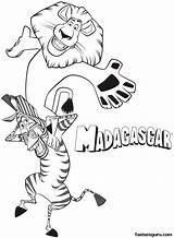 Alex Marty Madagascar Coloring Pages Printable Lion Colouring Having Fun Coloriage Animals Shoulders Related Characters Print Cartoon Desktop Right Background sketch template