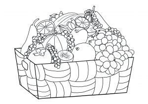 fruits  vegetables  printable coloring pages  kids