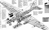 Canberra Airplane 57f Aviadejavu sketch template
