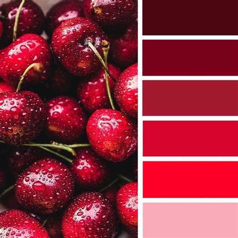 hugedomainscom red colour palette red color schemes cherry red color