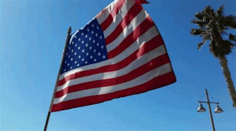 popular flags gifs everyones sharing