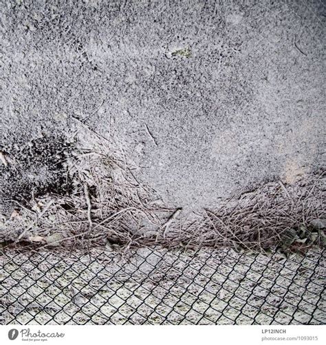 maschenschneezaun natur ein lizenzfreies stock foto von photocase