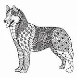 Hond Zentangle Siberian Fre Stileerde Siberische Schor Stilizzato Cane Hund Gezeichnet Bleistift Myloview Stylized Freehand Coloringfolder sketch template