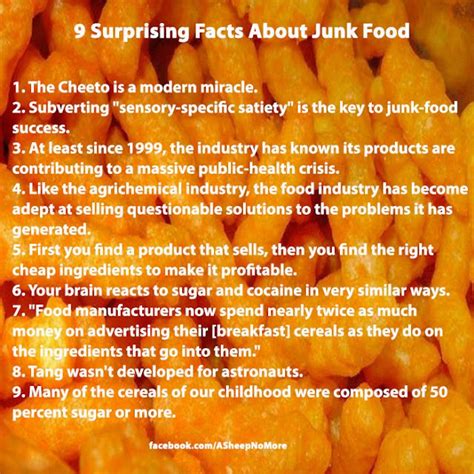 sheep    surprising facts  junk food