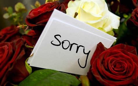 cute apology messages   lover   images ilove messages