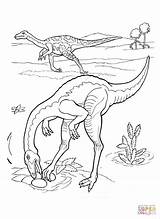 Ausmalbilder Carnotaurus Ornithomimus Ausmalbild sketch template