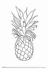 Coloring Pineapple Pages Printable Drawing Pineapples Fruits Fruit Colouring Kids Template Pinapple Awesome Apple Book Choose Board Small Davemelillo Drawings sketch template