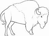 Bison Bisonte Bisontes Dragoart Prehistorico Siluetas Prehistoria Childrencoloring Darrel Andel Indianer sketch template
