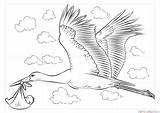 Baby Stork Draw Coloring Pages Drawing Storks Step Printable Tutorials Popular Coloringpagesonly sketch template