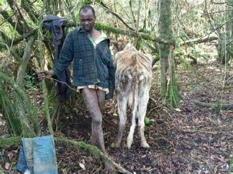 25 Year Old Kenyan Man Lynched For ‘having Sex With Cow
