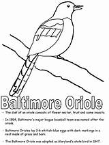 Oriole Coloring Maryland State Baltimore Pages Symbols Printables States United Search sketch template