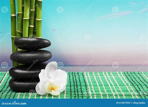 bamboo spa stock photo image