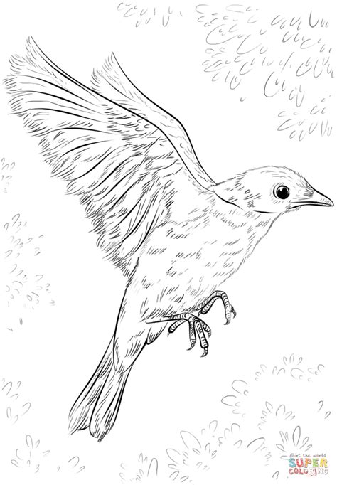 blue bird flying coloring page  printable coloring pages