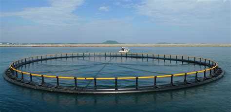 standard circular cages aquaculture