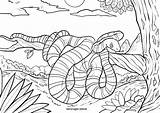Schlange Malvorlage Kolorowanki Wąż Baum Malvorlagen Snake Kinderbilder Kinderecke Afryka Gałęzi Kostenlose sketch template