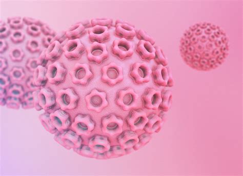 ¿puede Afectar El Virus Del Papiloma Humano Vph Mi Fertilidad