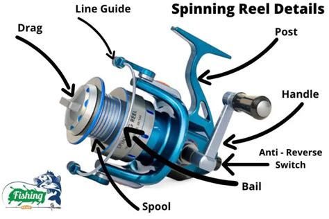 set   spinning reel beginners  experts