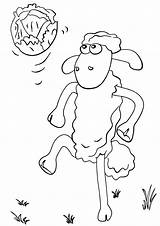 Shaun Sheep Coloringonly sketch template