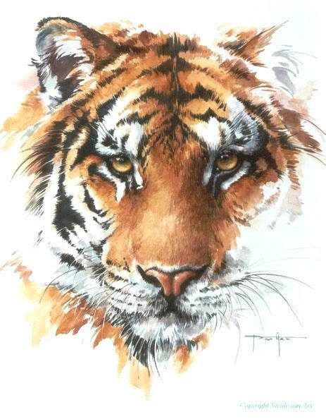 untitled document watercolor tiger animal paintings tiger tattoo