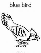 Coloring Bird Pages Nest Tropical Clipart Blue Popular Library Coloringhome sketch template