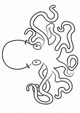 Oktopus Tintenfisch Letzte sketch template