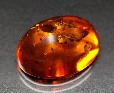 amber   baltic golden gemstones formed  tree resin