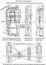 Proportions Anatomy Loomis Drawinghowtodraw Male sketch template