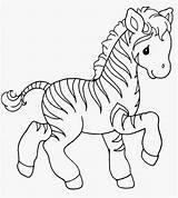 Zebra Coloring Pages Baby Cute Kids Colouring Animal Printable Template Animals Color Print Precious Little Templates Kindergeburtstag Getcolorings Sweet Zoo sketch template