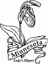 Minnesota Coloring Pages State Flowers Wild Flower Kids Sheets Color Flag Print Getcolorings Choose Board Central sketch template