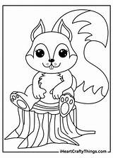 Squirrels Squirrel Cute Iheartcraftythings sketch template