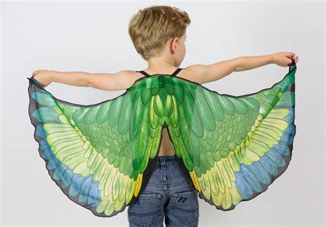 dress up butterfly fairy dragon and batman wings