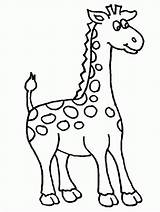 Coloring Pages Giraffes Cute Popular Giraffe sketch template
