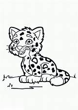 Leopardo Leopardos Dibujosparacolorear Clic sketch template