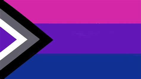 My Personal Version Of The Biromantic Asexual Flag Queervexillology