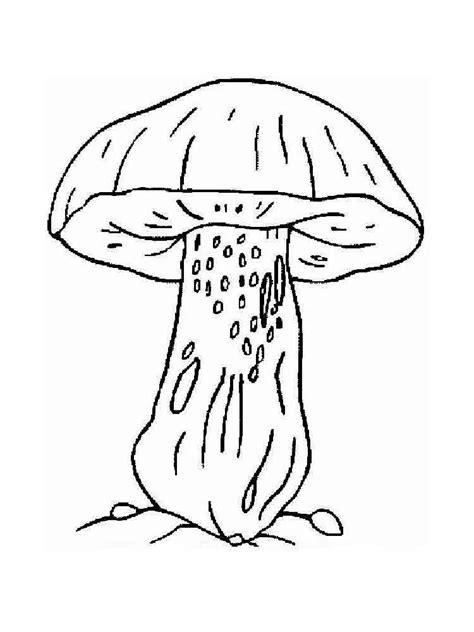 mushrooms coloring pages   print mushrooms coloring pages